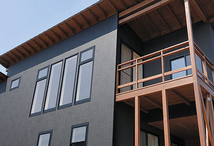 Danサイディング プレシャスウッド BF