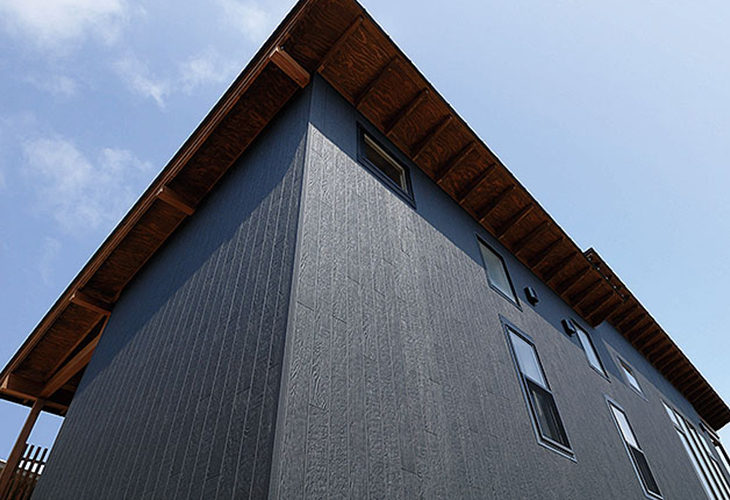 Danサイディング プレシャスウッド BF