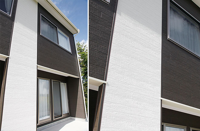 Danサイディング プレシャスウッド BF