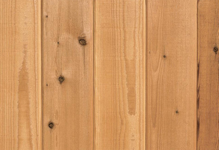 ウィルウォール