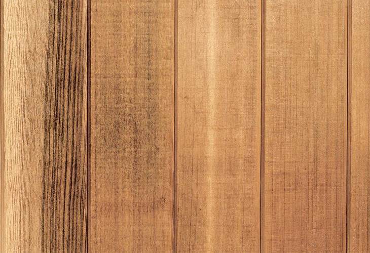 ウィルウォール