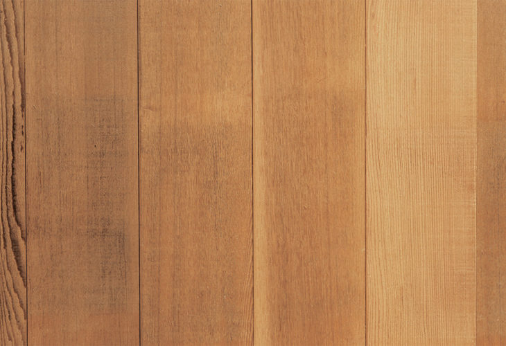 ウィルウォール