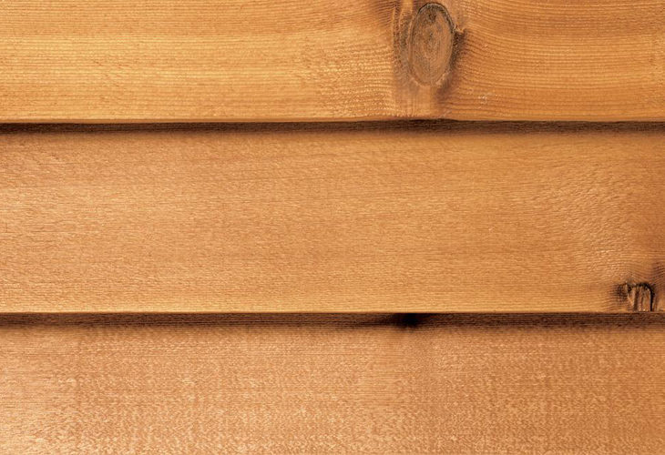 ウィルウォール