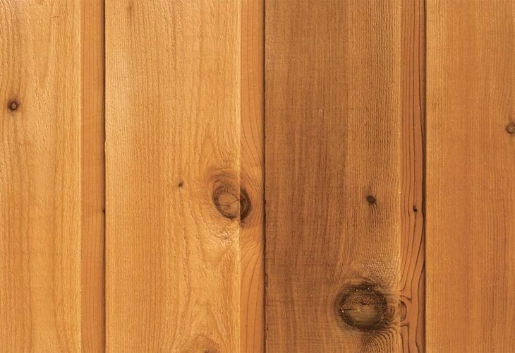 ウィルウォール