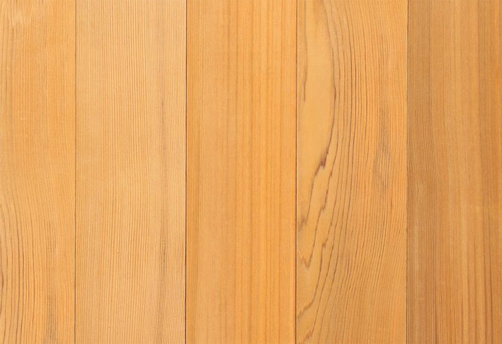 ウィルウォール